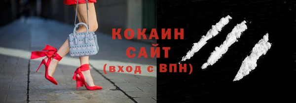 соль ск Алексин