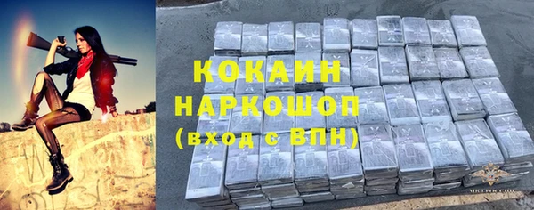 соль ск Алексин