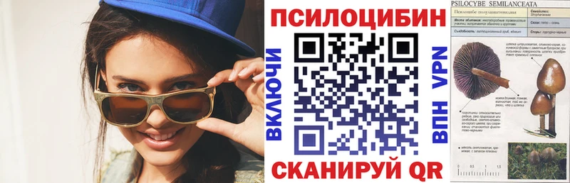 наркотики  кракен как зайти  Псилоцибиновые грибы MAGIC MUSHROOMS  Сибай 